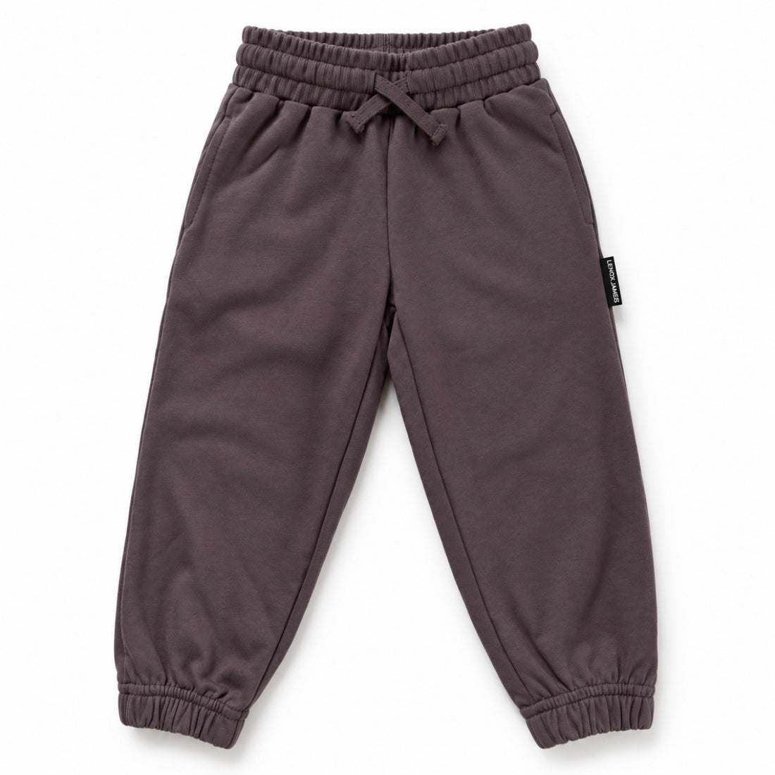 Front view of LENOX JAMES kids joggers in smoky purple-gray, with an elastic drawstring waist, side pockets and cuffed ankles.